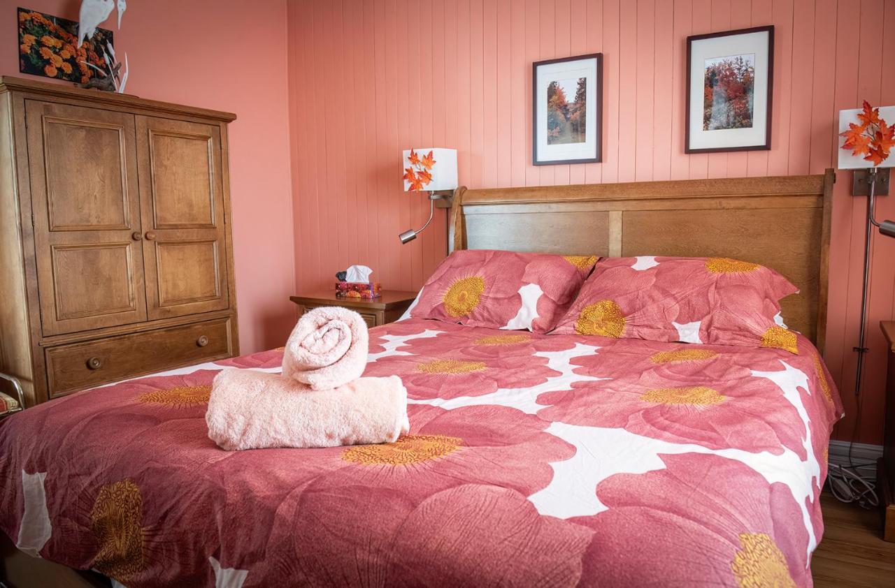 مبيت وإفطار غراند-بيرجيرونز Bed & Cafe Petit Papillon المظهر الخارجي الصورة